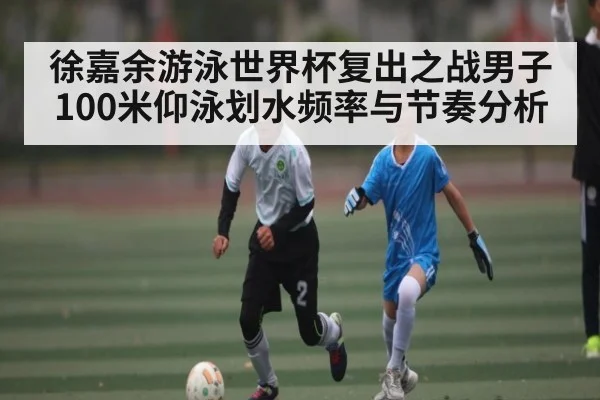 徐嘉余游泳世界杯复出之战男子100米仰泳划水频率与节奏分析